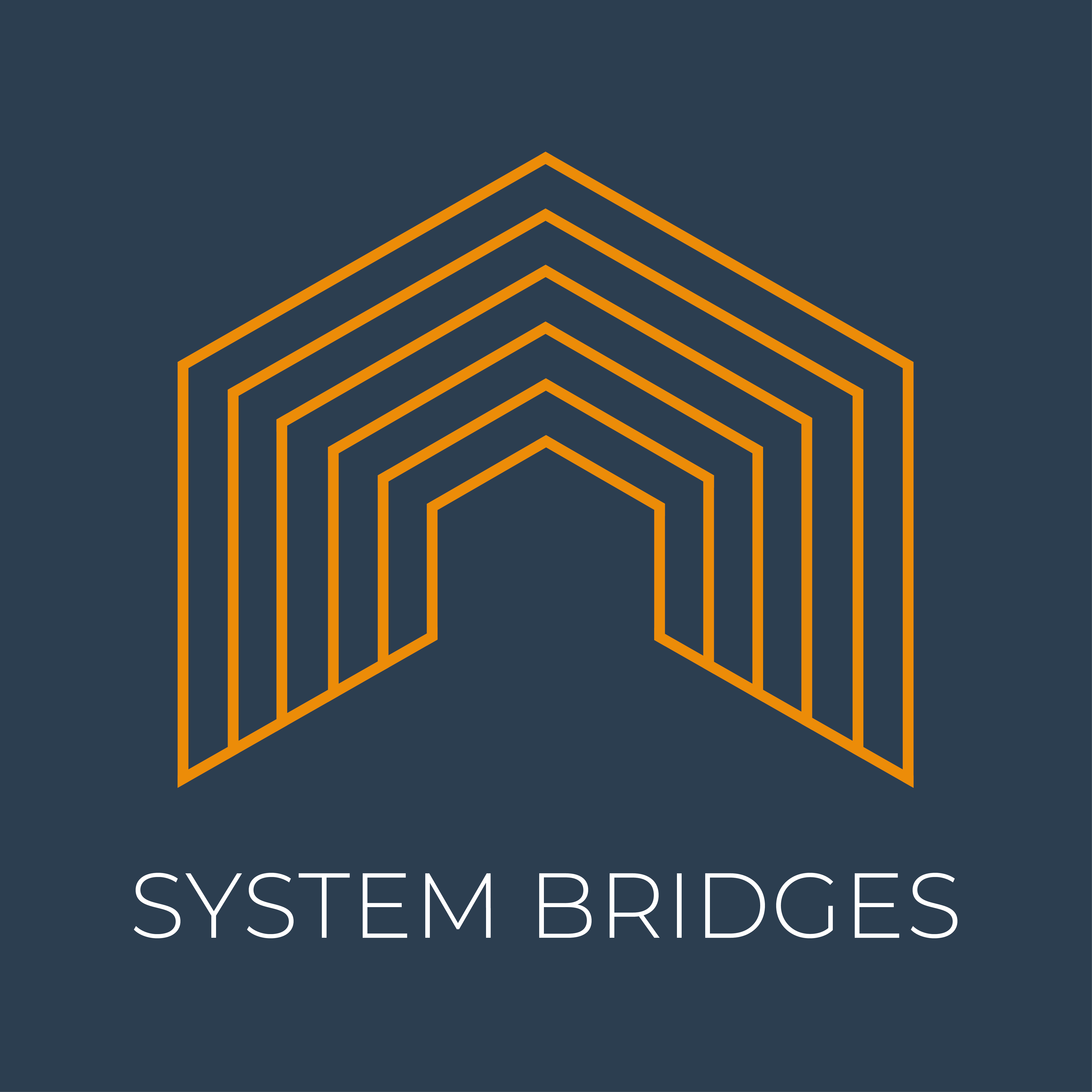 system bridges logo01